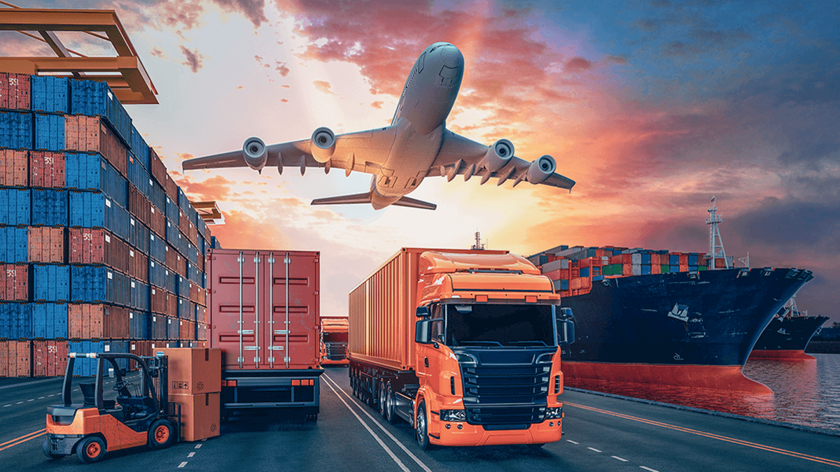 Transportation & Movement